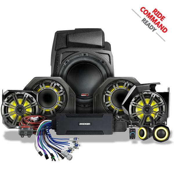 RZ6-
